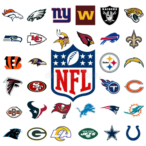 It's Game Day -NFL Clear Handbags